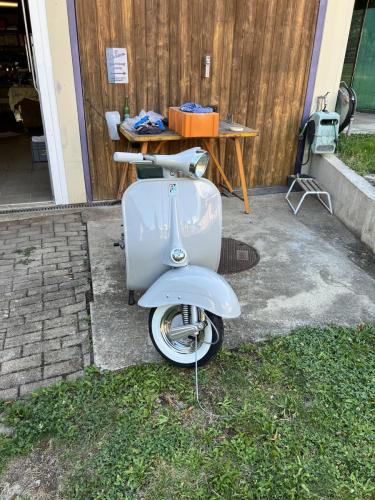 IMG 1170